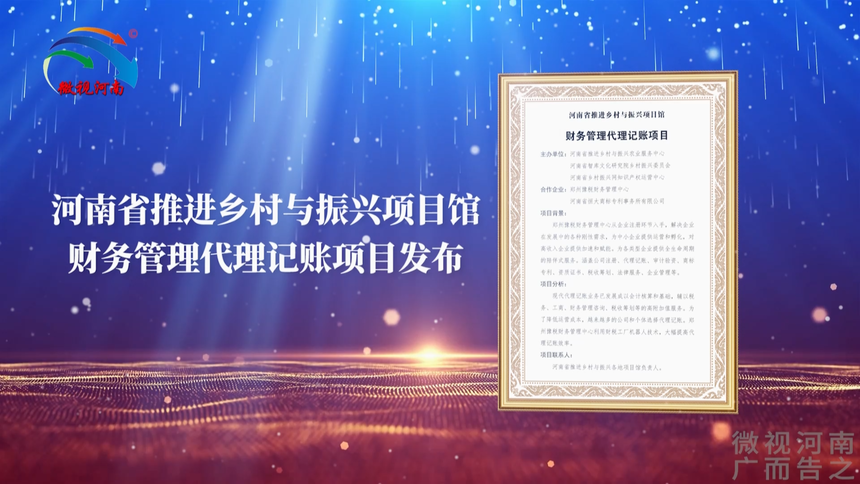 【视频】河南省推进乡村与振兴项目馆财务管理代理记账项目发布
